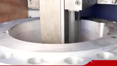 Double Disc Door Plate Wafer Type Swing Check Valve 